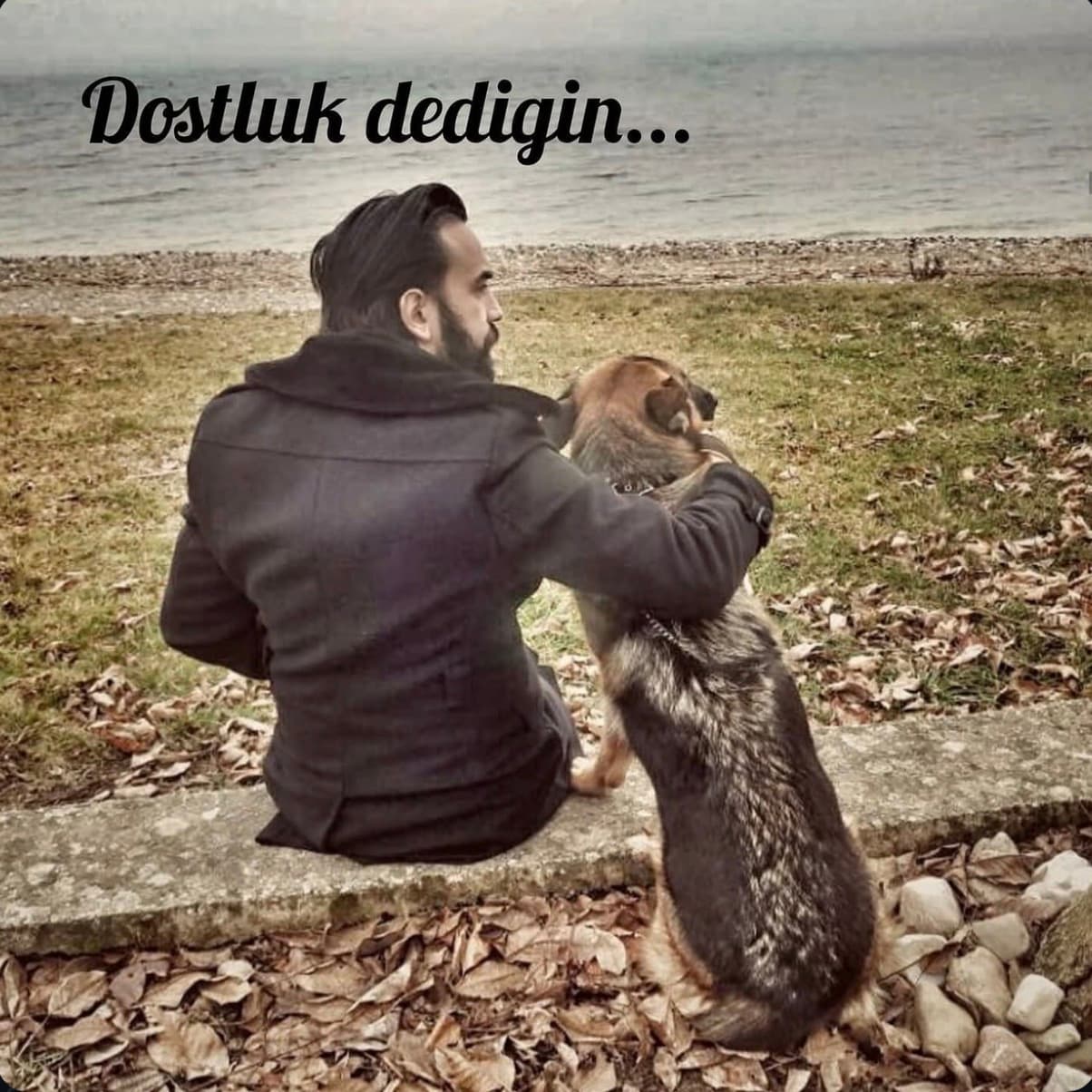 Deniz kenarında köpeğiyle oturan Ediz Kentkuran
